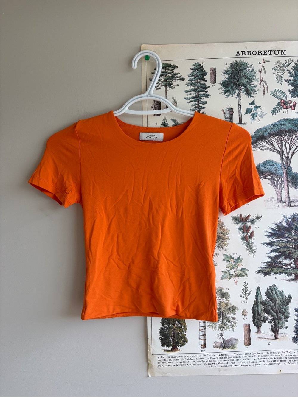 Babaton Contour Tee Orange XS